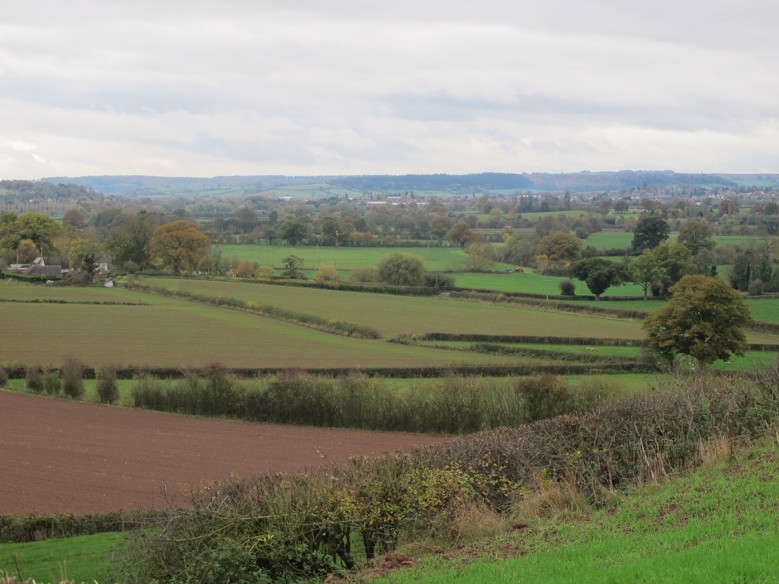 View of field near Eye, Leominster, Herefordshire