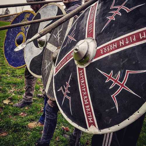 Black Crow Shields